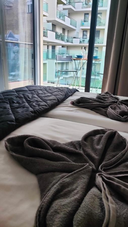 Super Cozy & Central Apartment ブダペスト エクステリア 写真