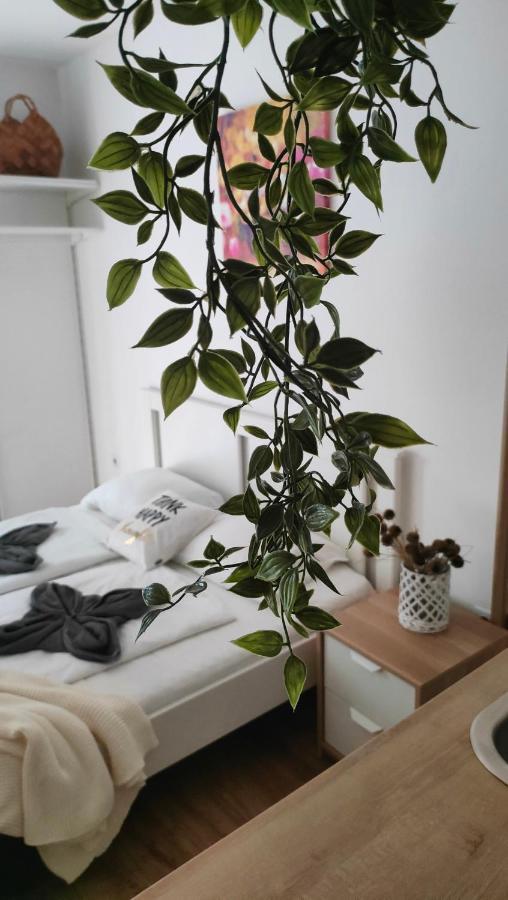 Super Cozy & Central Apartment ブダペスト エクステリア 写真